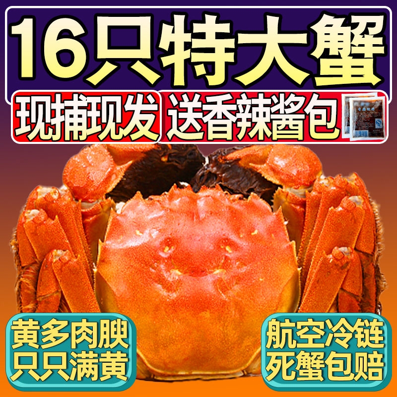 蘇州六月黃大閘蟹活蟹螃蟹鮮活大閘蟹特大禮盒裝公母湖蟹可全母