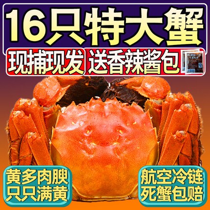 苏州六月黄大闸蟹活蟹螃蟹鲜活大闸蟹礼盒装公母蟹湖蟹16只可全母