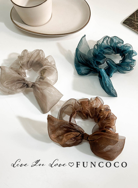 韩国进口欧根纱透明蝴蝶结大肠发圈2024年网红新款马尾扎头绳气质