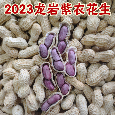 2023新龙岩紫衣花生福建龙岩连城二三四粒红衣水煮湿烤香脆咸味晒