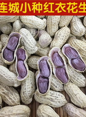 闽西特产龙岩湿烤花生连城文亨湖峰小种紫衣水煮咸干湿烤红衣花生