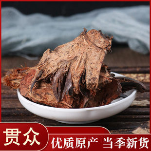 中药材 贯众 荚果蕨 贯众 昏鸡头 小金鸡尾 50克