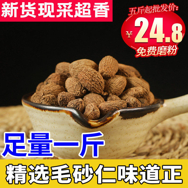 2024新货毛砂仁春砂米香