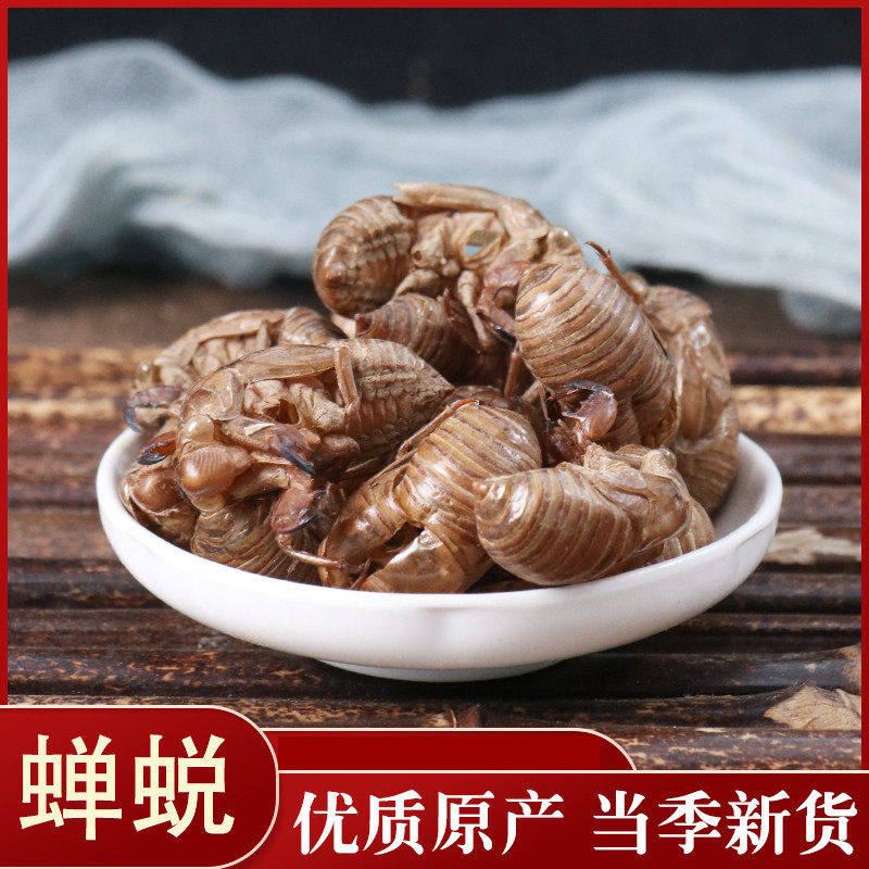 中药材蝉蜕衣知瞭壳脱