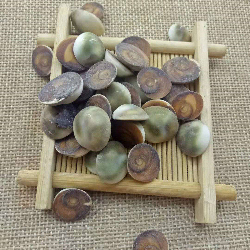 甲香 中药材50g药用水云母 太极石 催生子海月中草药店铺