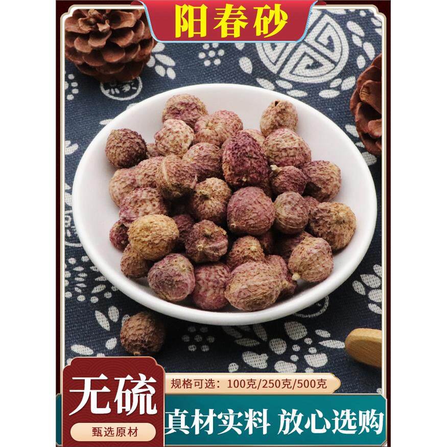 春砂仁阳中药材春沙仁干