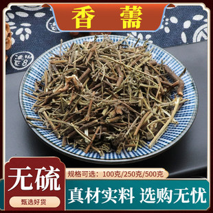 香薷中药材新货香薷草香需干香儒香茹泡水口臭正品天然包邮500g克