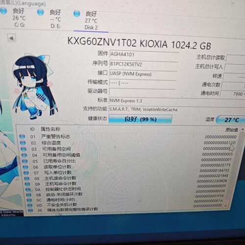 议价铠侠XG6 1TB可维修