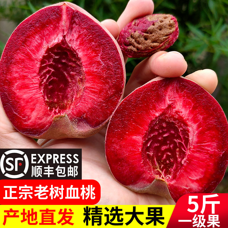 山东晚熟老树红肉血桃现摘现发新鲜水果当季离核朱砂红心脆毛桃子