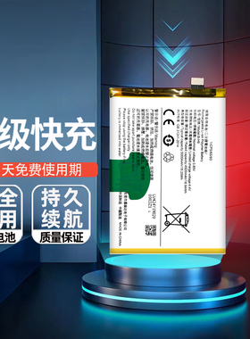 适用VIVO iQOO Z5 Z5I Z5X手机电池B-R3 B-S6 B-H9全新大容量电板