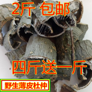 杜仲皮略阳杜仲伏牛山野生老树杜仲皮 可泡茶泡酒500克包邮