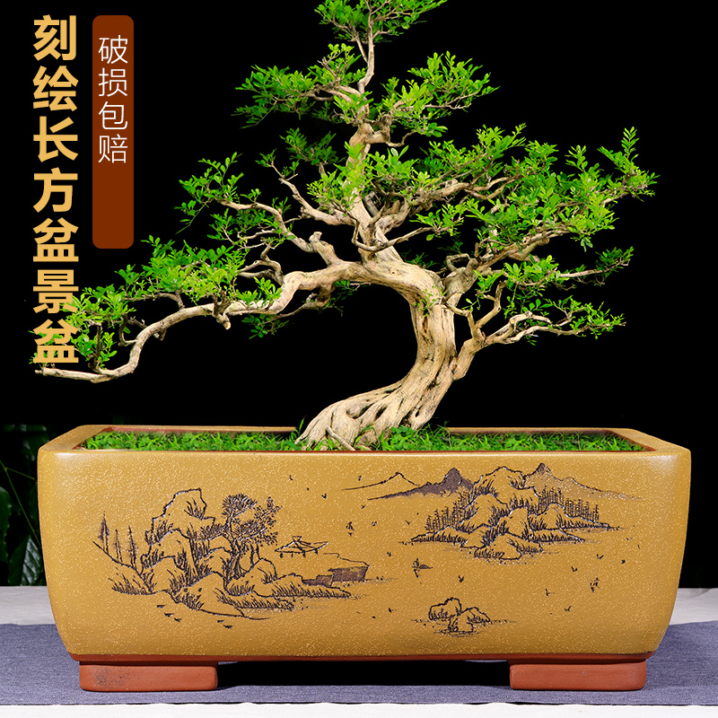 紫砂简约破损包赔精品