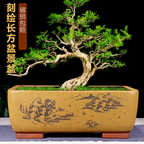 紫砂简约破损包赔精品