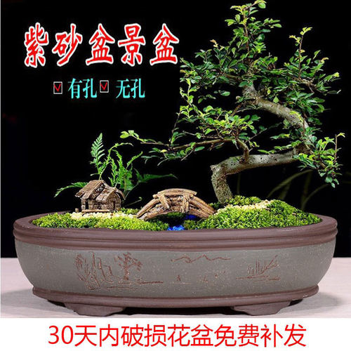 宜兴椭圆形特大无孔包邮紫砂花盆