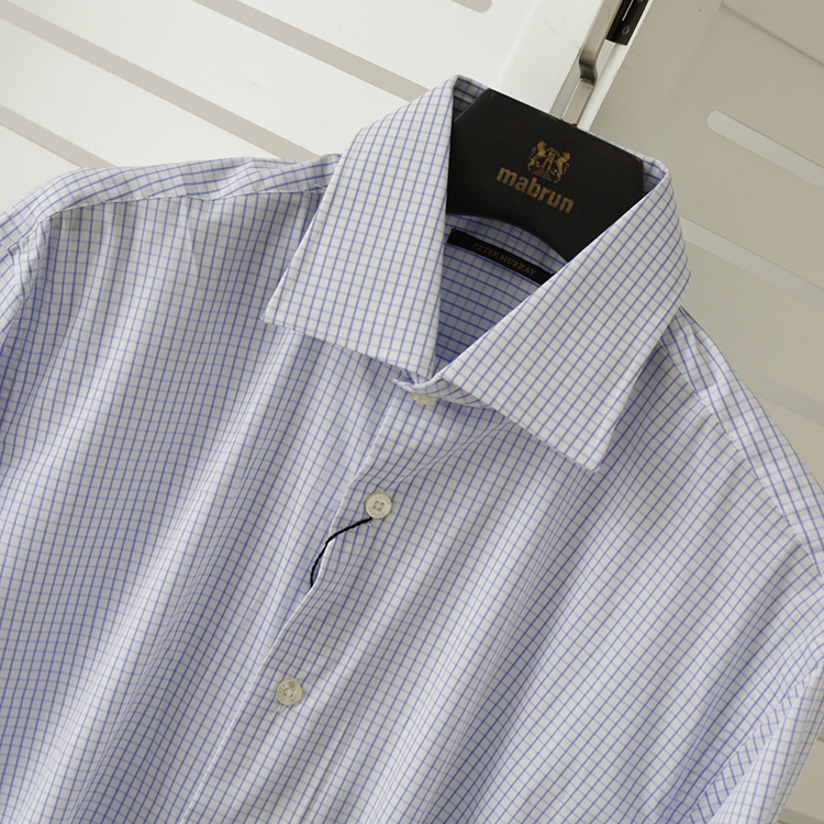 青年职场蓝白纯棉进口商务衬衫