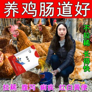 禽拉稀专用】肠安宁坏死性肠炎稀便腹泻小鸡拉水便过料兽用鸡鸭鹅