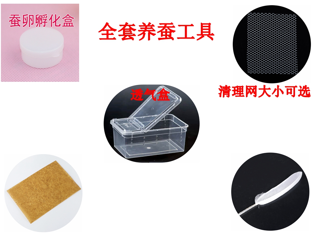 养蚕工具养蚕盒结茧网清理网放大镜羽毛温度计蚕夹说明书孵化盒|ruв категории животное/Животное питание и принадлежностей, рептилии/насекомых и принадлежностей, 蚕宝宝 - от Buy2taobao.com для оказания профессиональной услуги покупки агента Taobao