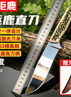 【新疆包邮】DC53模具钢镜面抛光多功能户外小刀直刀水果刀