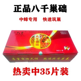 中蜂巢础八千蜜蜂深房巢础片 蜂蜡巢脾中峰巢皮 全套养蜂工具