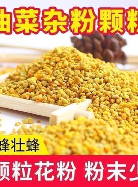 花粉养蜂喂蜂油菜杂粉