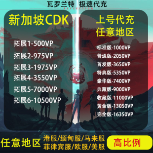 Valorant新加坡服 SGD VP特务币点数兑换充值码瓦罗兰特 自动发货