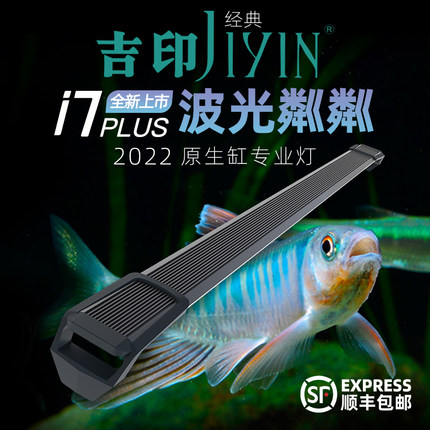 吉印原生鱼灯原生水景灯宽鳍鱲慈鲷鱼专用灯波光粼粼爆藻架灯