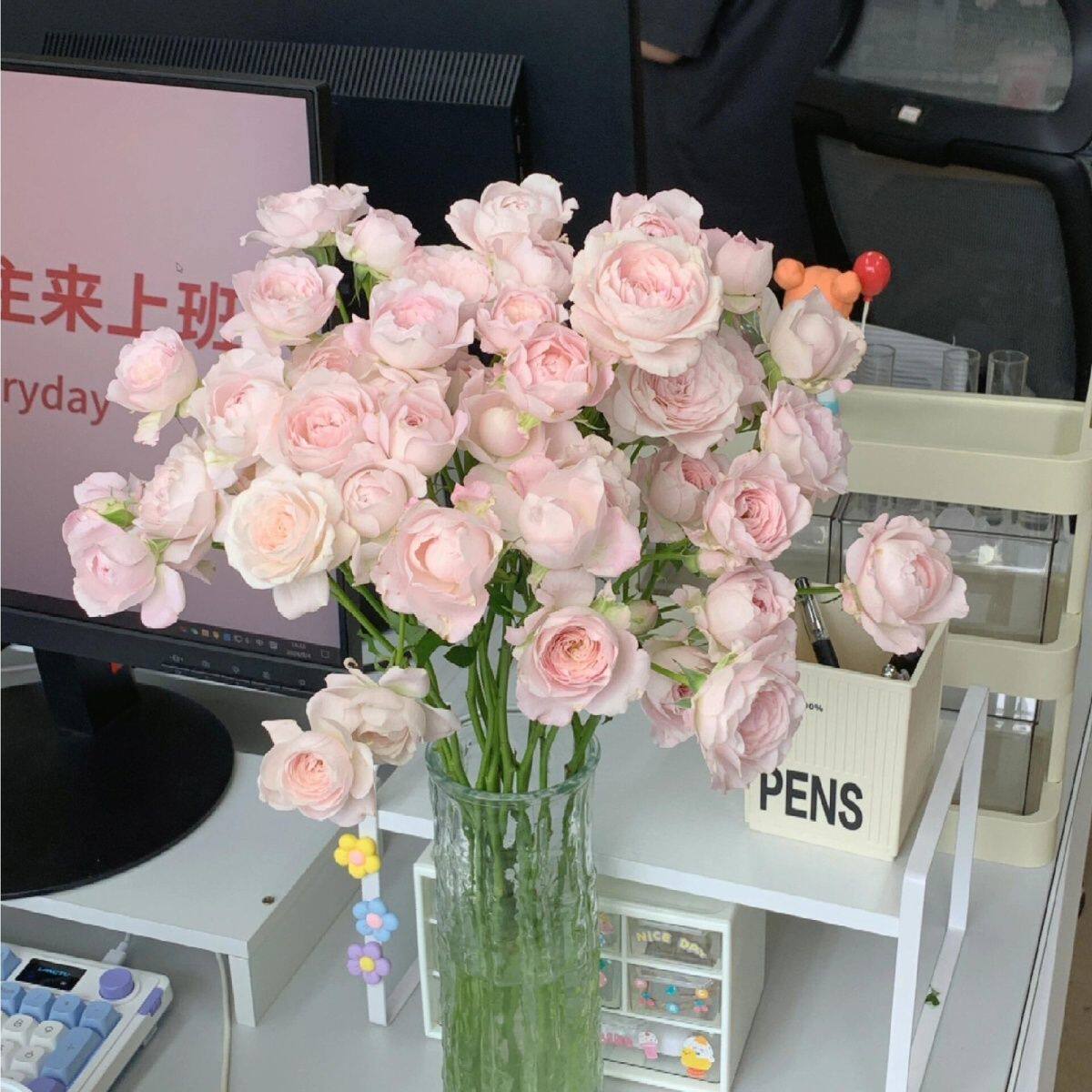 仙子之吻多头玫瑰泡泡云南昆明基地直发同城速递鲜花花束情人节