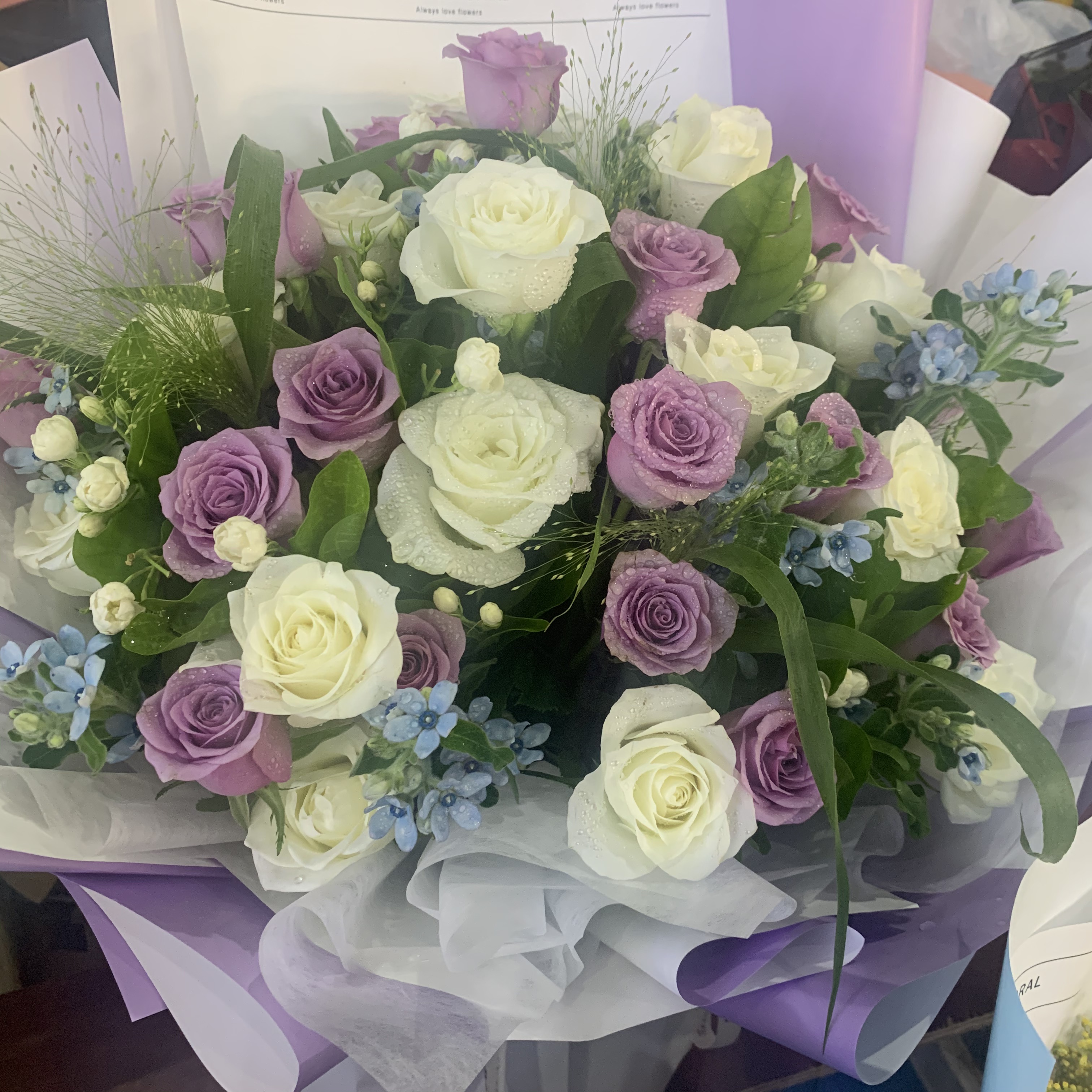 紫色玫瑰白色玫瑰混搭云南昆明基地直发水养鲜切花同城包邮情人节