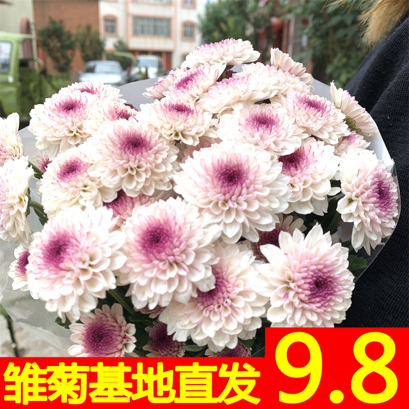 小雏菊鲜花花束云南昆明基地直发百合速递同城家用向日葵玫瑰菊花