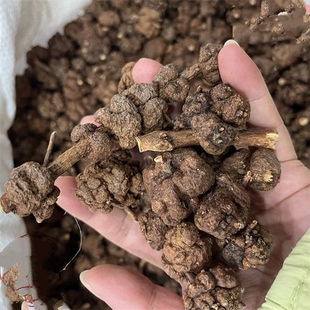 消瘤藤中药材消瘤藤云南瑶族野生正品星毛冠盖藤 瑶族野生消瘤子