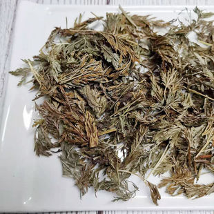 中药材乌蕨 乌韭别名金粉蕨大叶金花草小金芯草小鸡尾草细叶凤尾
