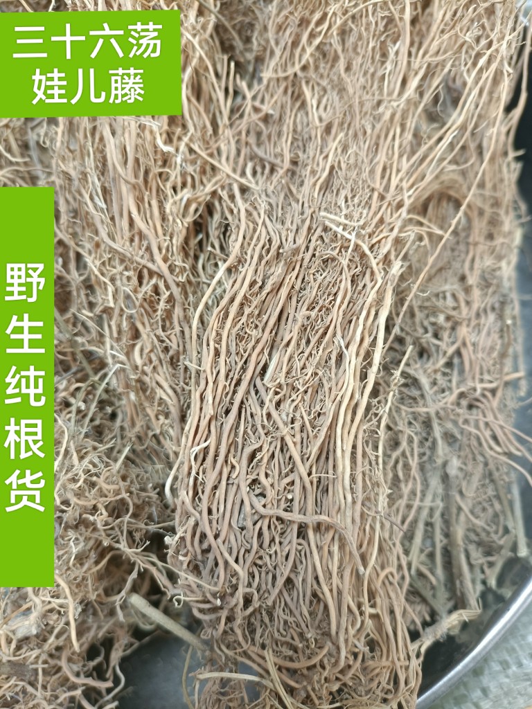 三十六荡白龙须娃儿藤小霸王根三十六根双飞蝴蝶野生中药材