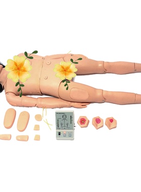 口腔护理（高级成人护理及CPR模型人）JY/H148佳悦科教通