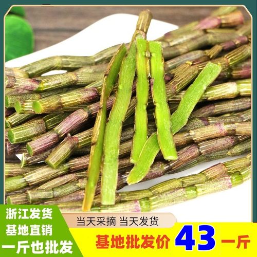 铁皮石斛鲜条雁荡山五年生鲜条