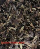 浙江雁荡山铁皮石斛干叶泡茶煲汤煮水鲜条干条