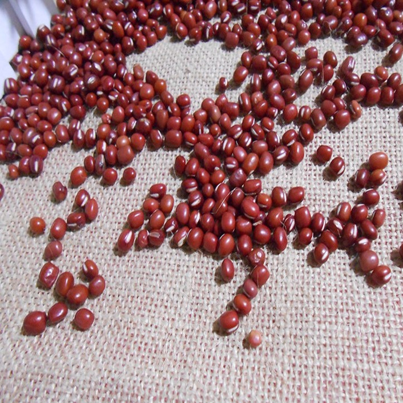 新红豆新货农家赤豆非非赤小豆