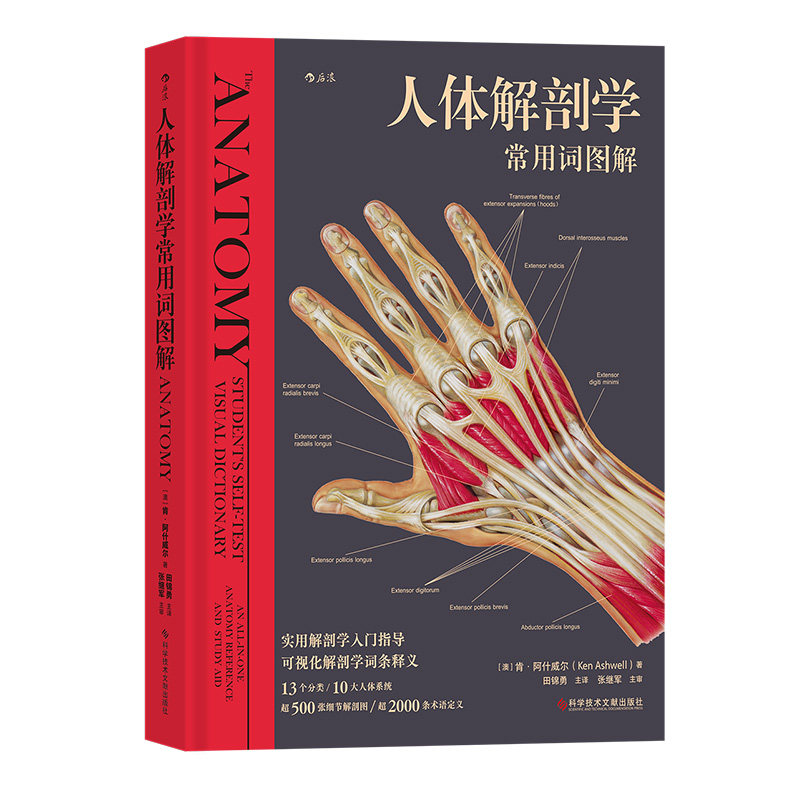 后浪直发人体解剖学常用词图解