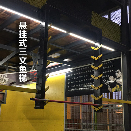 道奇教练设计 绿箭侠悬挂式三文鱼梯 (展示品)