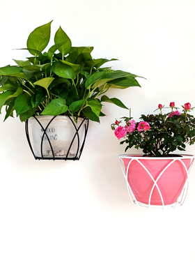 简约铁艺壁挂花架免打孔墙上花盆挂架阳台钉墙花架绿萝盆栽挂篮