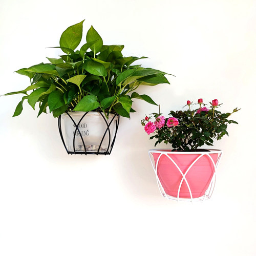 铁艺壁挂花架免打孔可钉墙