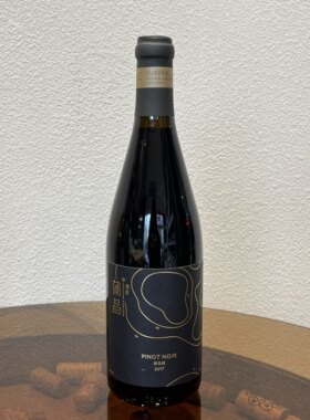 蒲昌黑品诺干红葡萄酒