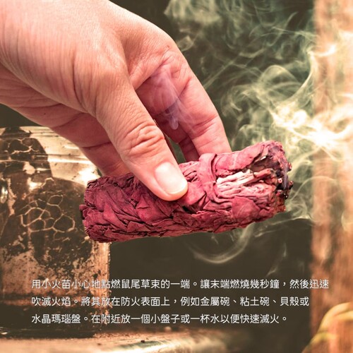 美国加州龙血鼠尾草香熏杖