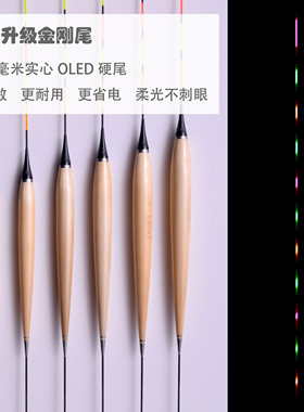 细尾鲤鱼高灵敏黑坑日夜两用芦苇