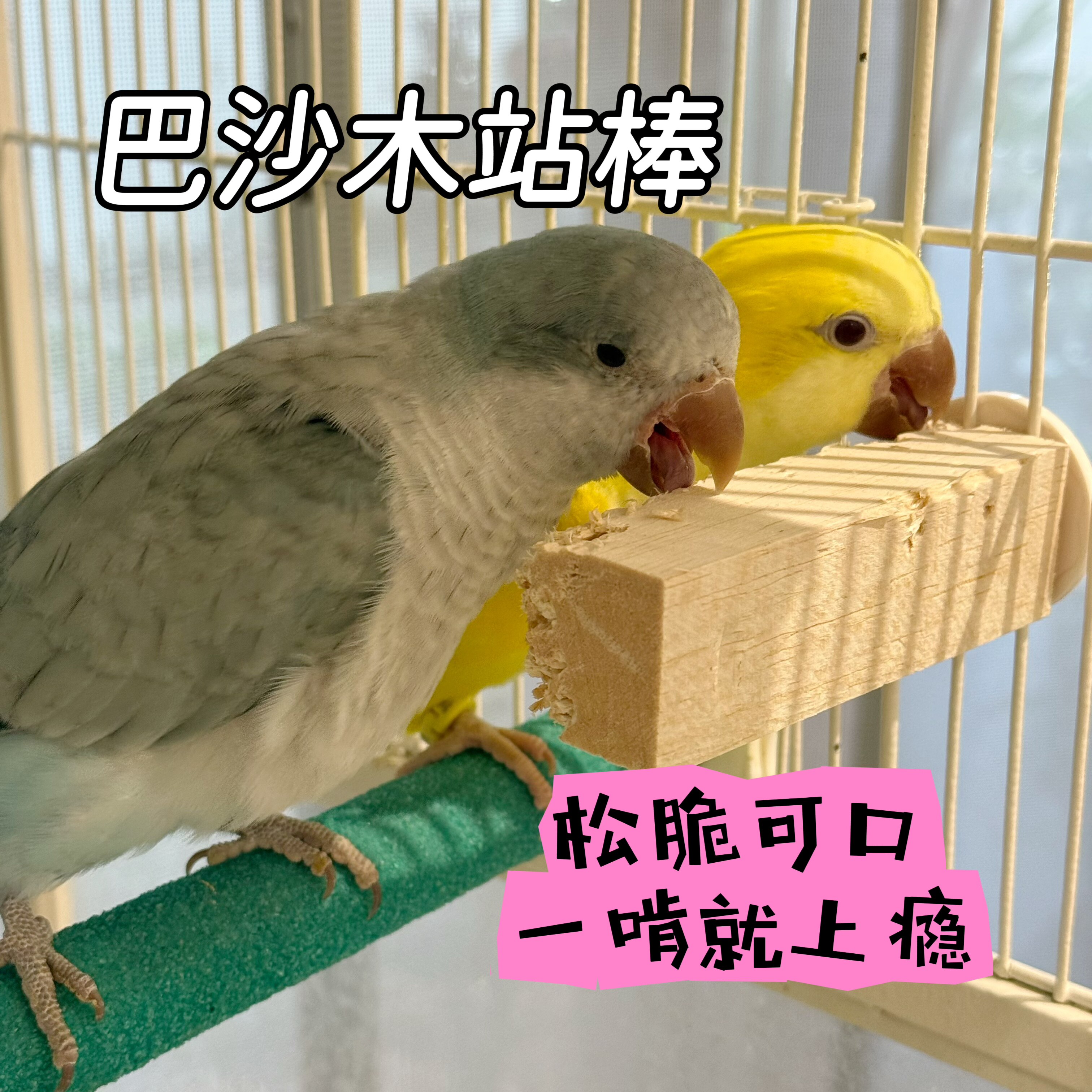 鹦鹉巴沙木站棒啃咬站台软木片站棍解闷磨嘴益智玩具鸟笼装饰