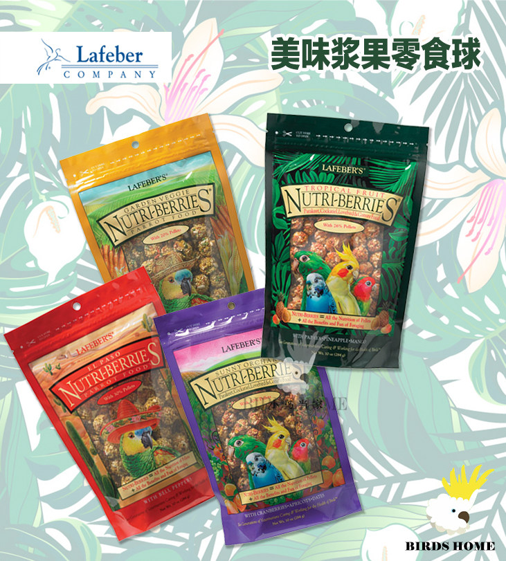 拉夫伯鹦鹉奖励零食球热带水果口味零食滋养丸鸟食饲料 香港代购