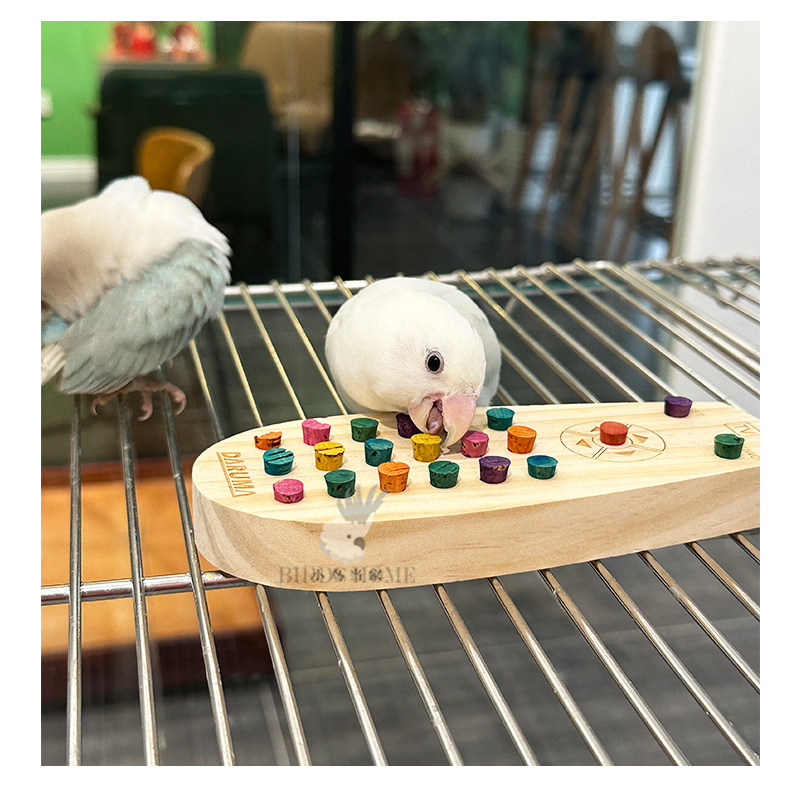 达鲁玛鹦鹉啃咬玩具软木遥控器中小型鸟发泄破坏娱乐牡丹玄凤虎皮