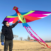 潍坊风筝百特精品七彩凤凰升级碳杆伞布玩家高档大型长尾绚丽保飞