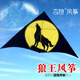 新款 风筝潍坊百特碳杆微风伞布狼王风筝大型成人风筝带线轮微风