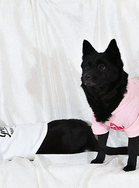 GRAF原创品牌「宠物」Bogo长颈鹿ak天使小型狗狗猫咪秋冬加绒卫衣