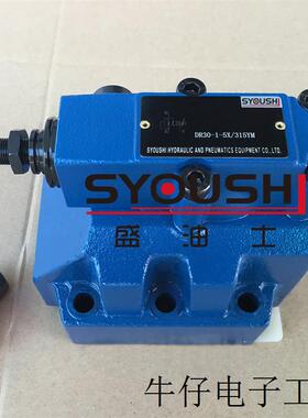 先导减压阀DR30-5-52/200YM,DR30-5-52/100Y,DR30-4-5X/100Y